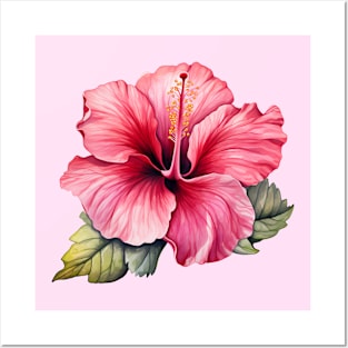 Pink Hibiscus Flower Watercolor Posters and Art